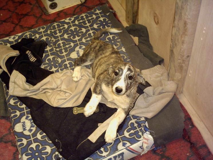 ...and a cute one,too!