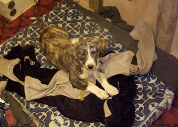 What do you expect?&nbsp; It's bright!